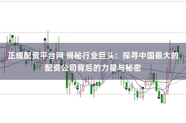 正规配资平台网 揭秘行业巨头:探寻中国最大的配资公司背后的力量与秘密
