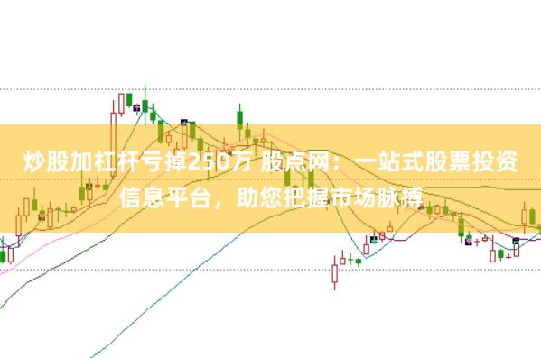 炒股加杠杆亏掉250万 股点网：一站式股票投资信息平台，助您把握市场脉搏