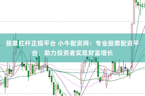 股票杠杆正规平台 小牛配资网：专业股票配资平台，助力投资者实现财富增长