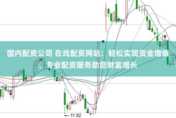 国内配资公司 在线配资网站：轻松实现资金增值，专业配资服务助您财富增长