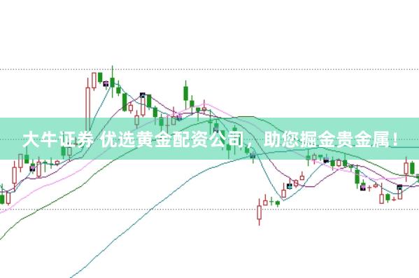 大牛证券 优选黄金配资公司，助您掘金贵金属！