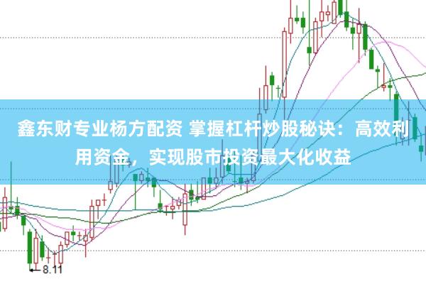 鑫东财专业杨方配资 掌握杠杆炒股秘诀：高效利用资金，实现股市投资最大化收益