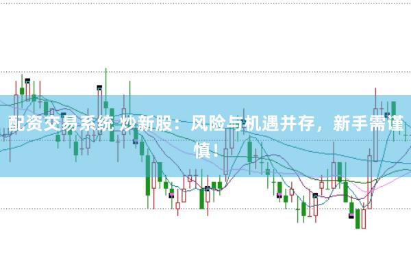 配资交易系统 炒新股:风险与机遇并存,新手需谨慎!