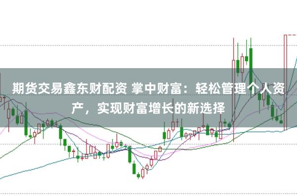期货交易鑫东财配资 掌中财富:轻松管理个人资产,实现财富增长的新选择