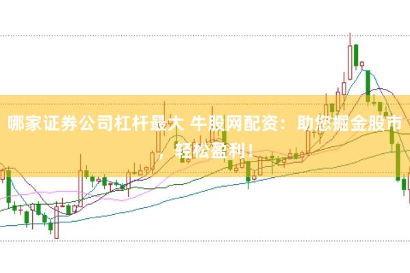 哪家证券公司杠杆最大 牛股网配资：助您掘金股市，轻松盈利！