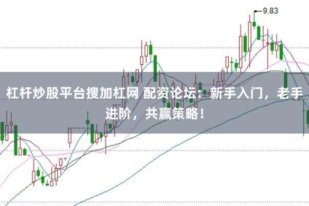杠杆炒股平台搜加杠网 配资论坛：新手入门，老手进阶，共赢策略！