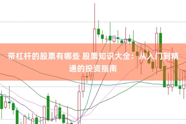 带杠杆的股票有哪些 股票知识大全：从入门到精通的投资指南