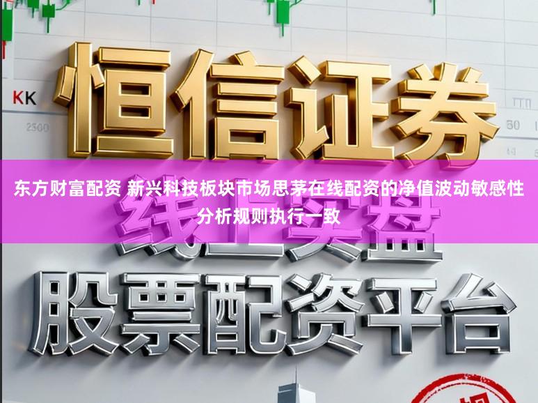 东方财富配资 新兴科技板块市场思茅在线配资的净值波动敏感性分析规则执行一致