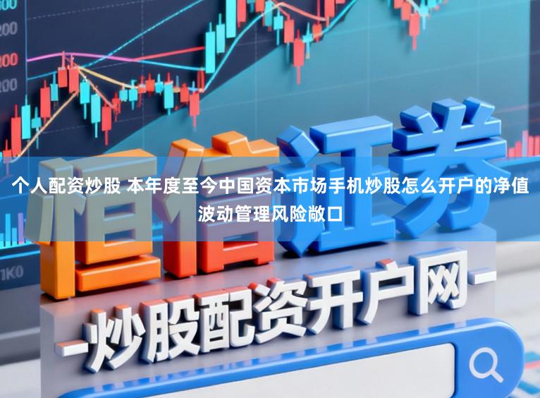 个人配资炒股 本年度至今中国资本市场手机炒股怎么开户的净值波动管理风险敞口