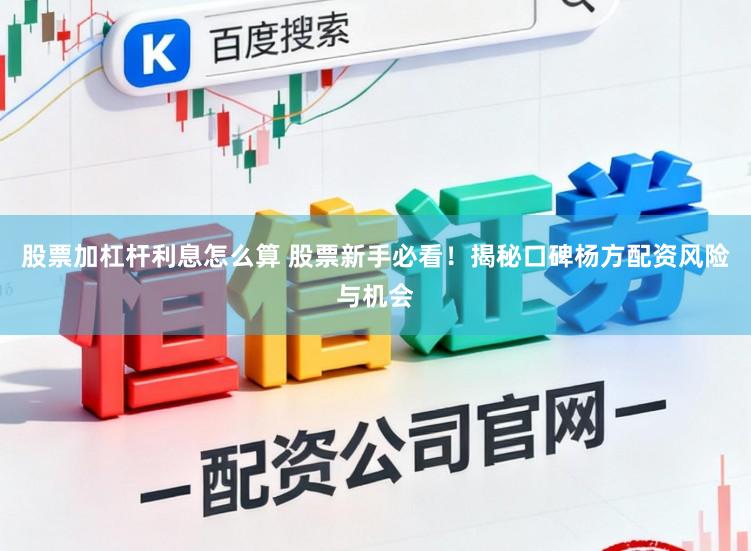 股票加杠杆利息怎么算 股票新手必看！揭秘口碑杨方配资风险与机会